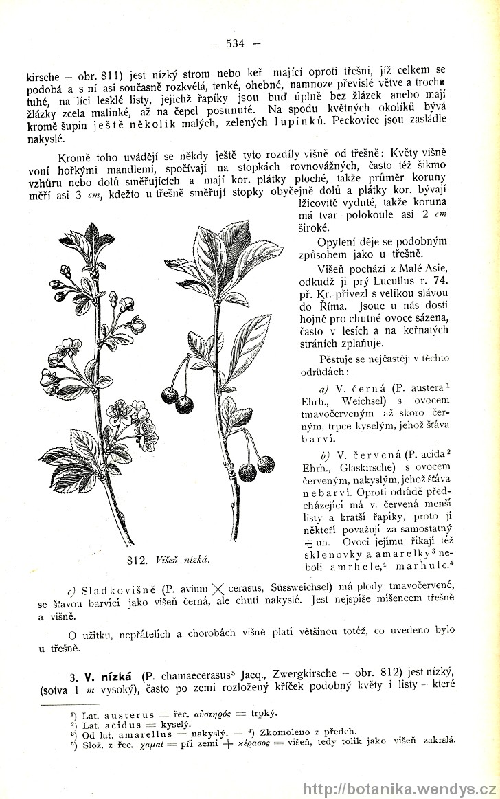 Názorná květena zemí koruny české, svazek 2, strana 534