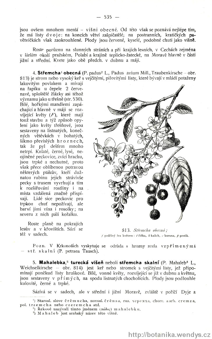 Názorná květena zemí koruny české, svazek 2, strana 535