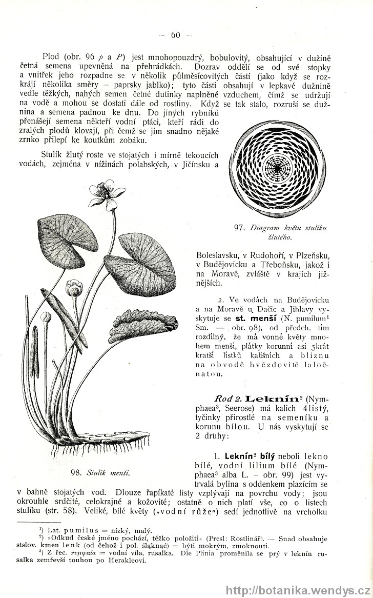Názorná květena zemí koruny české, svazek 2, strana 60