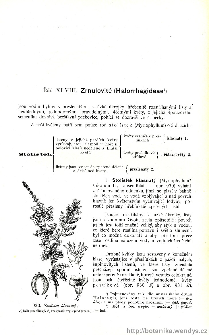Názorná květena zemí koruny české, svazek 2, strana 606
