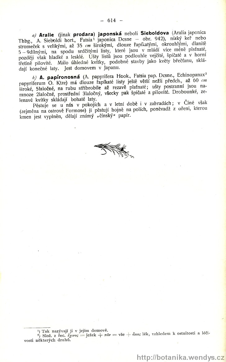 Názorná květena zemí koruny české, svazek 2, strana 614