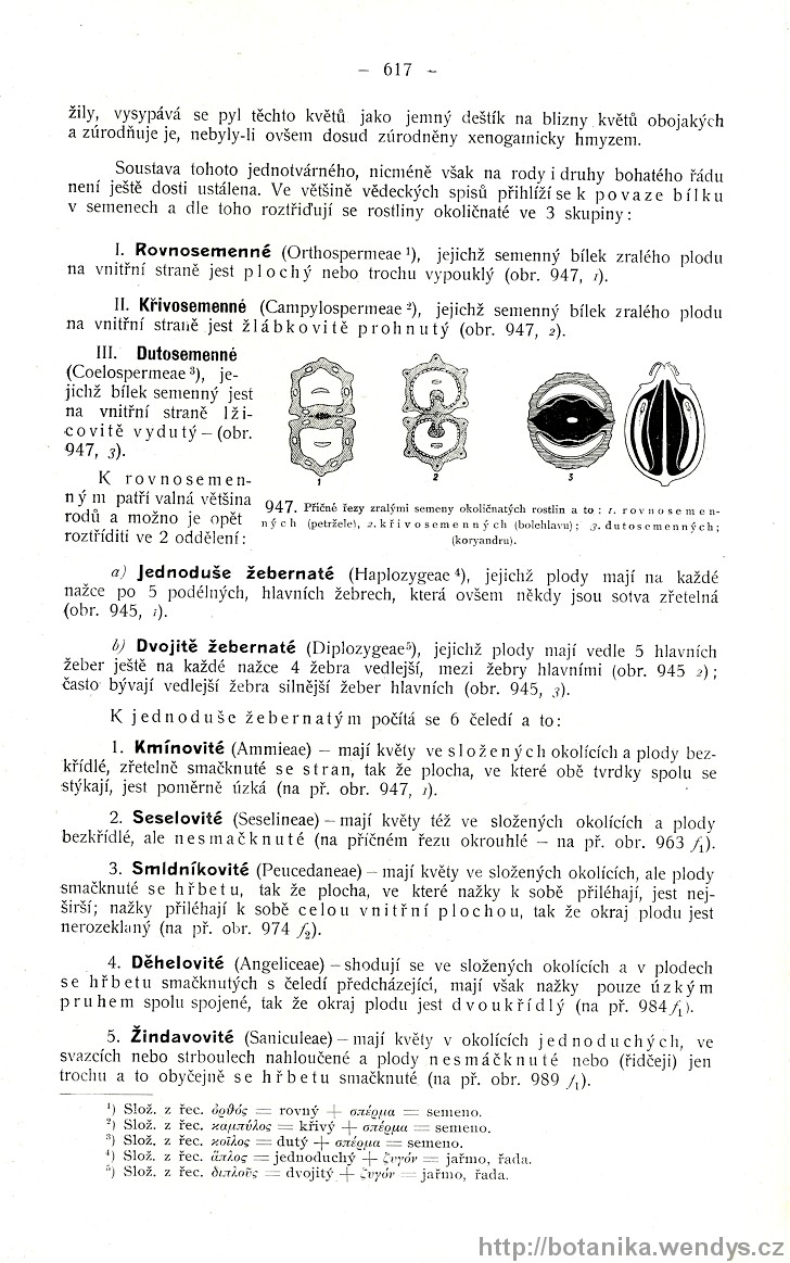 Názorná květena zemí koruny české, svazek 2, strana 617