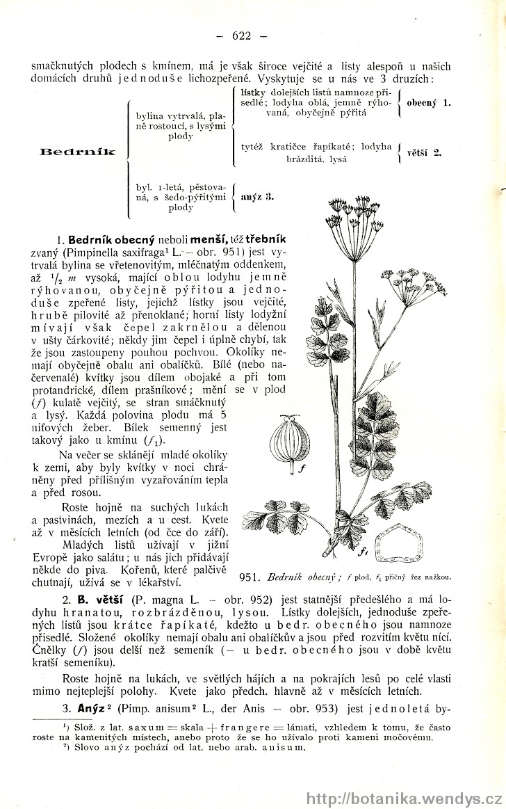 Názorná květena zemí koruny české, svazek 2, strana 622