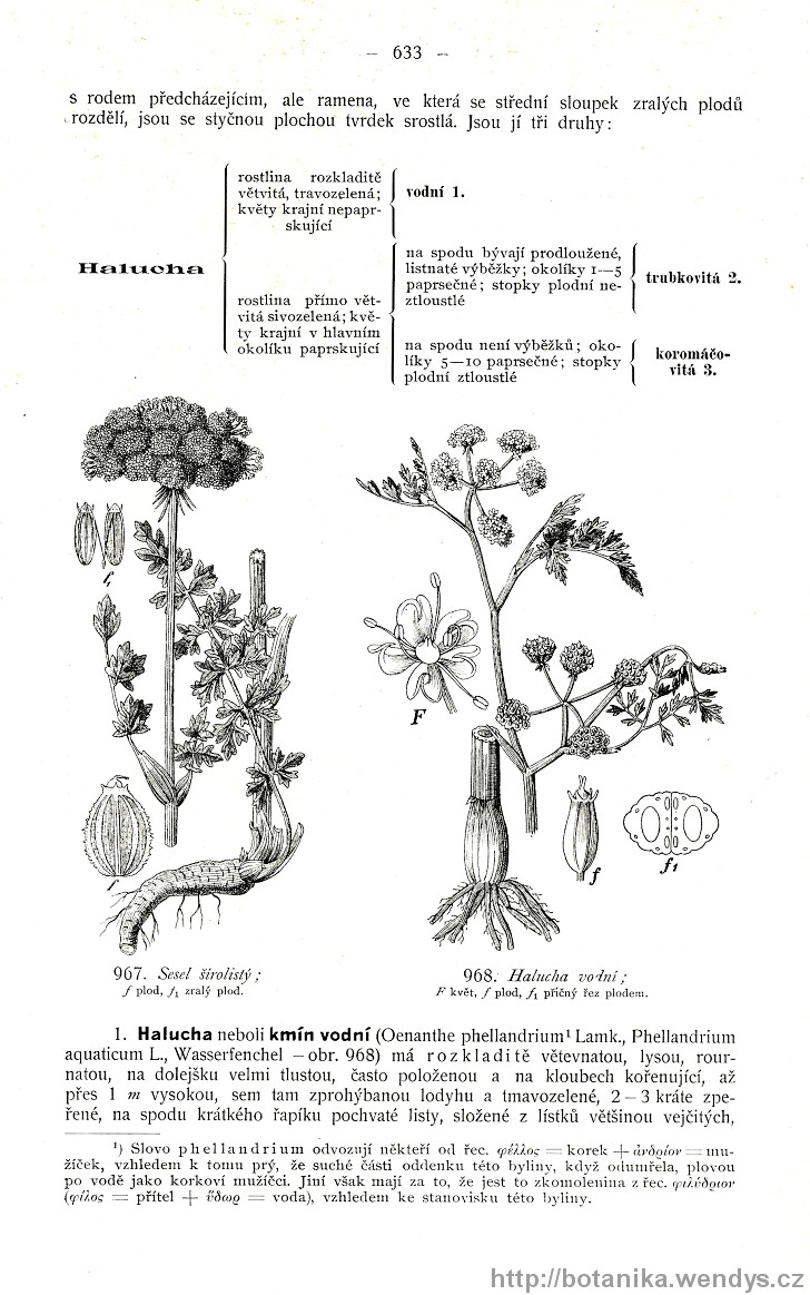Názorná květena zemí koruny české, svazek 2, strana 633