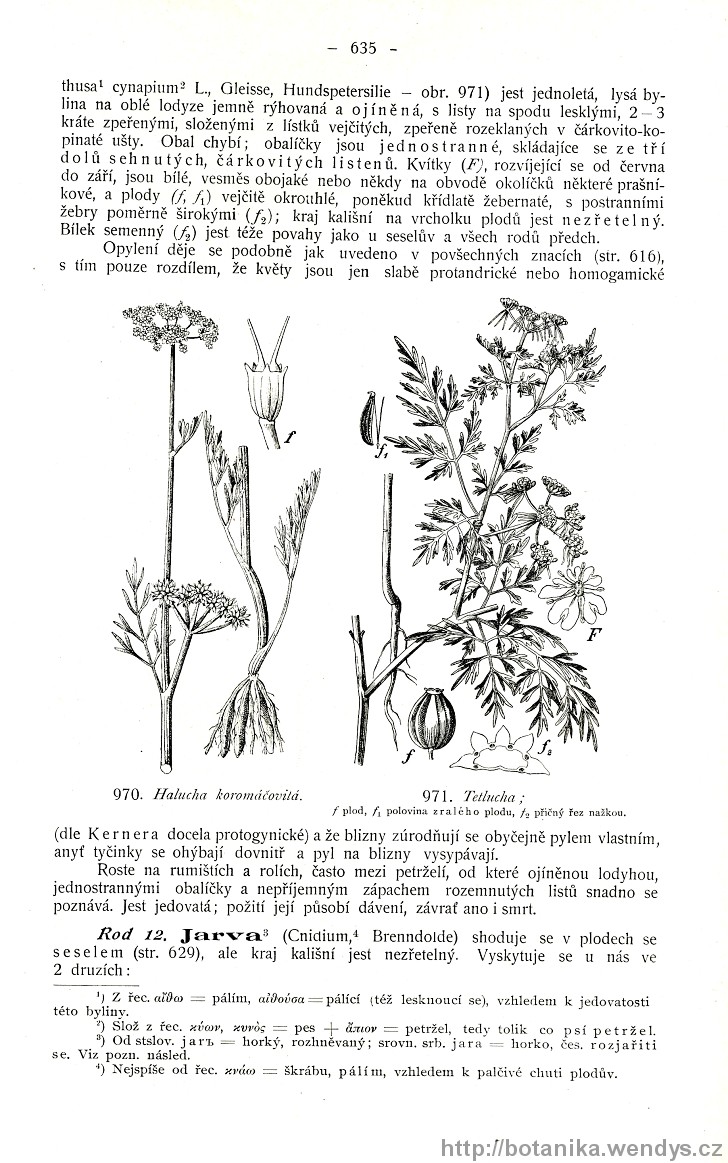 Názorná květena zemí koruny české, svazek 2, strana 635