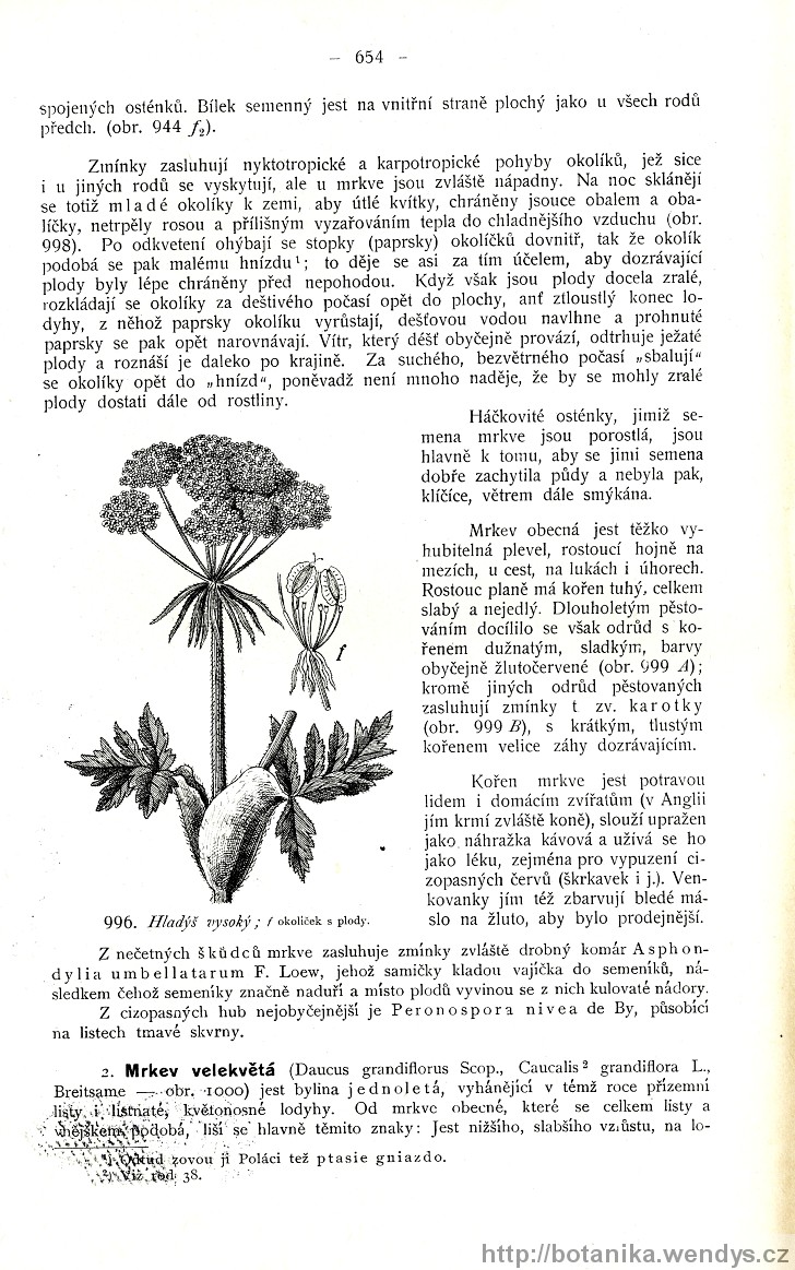 Názorná květena zemí koruny české, svazek 2, strana 654