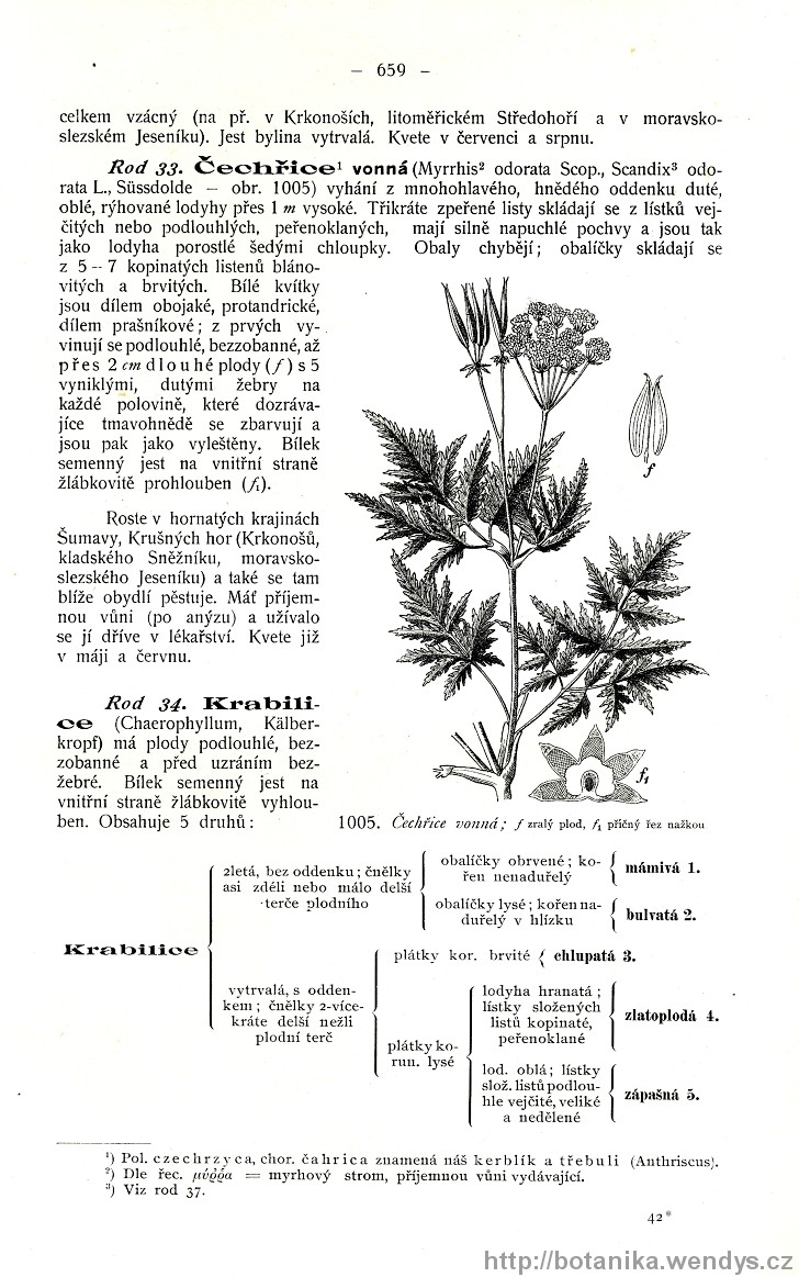 Názorná květena zemí koruny české, svazek 2, strana 659