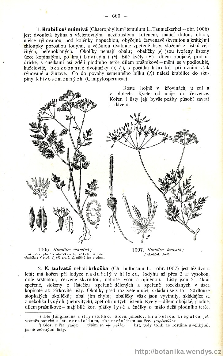 Názorná květena zemí koruny české, svazek 2, strana 660