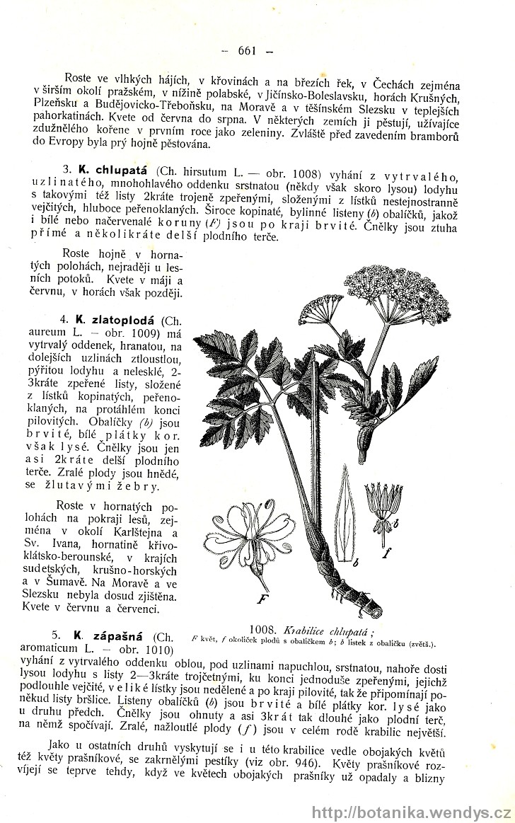 Názorná květena zemí koruny české, svazek 2, strana 661