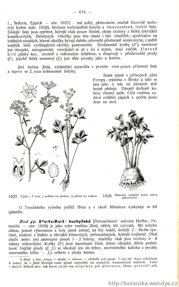 Názorná květena zemí koruny české, svazek 2, strana 674