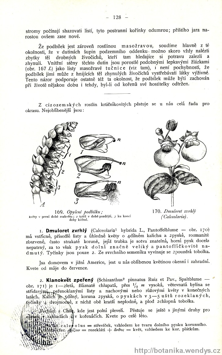 Názorná květena zemí koruny české, svazek 3, strana 128