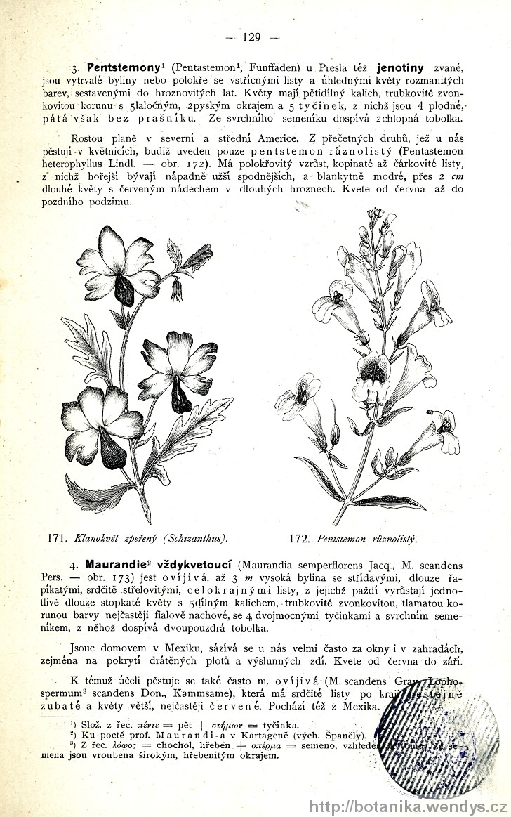 Názorná květena zemí koruny české, svazek 3, strana 129