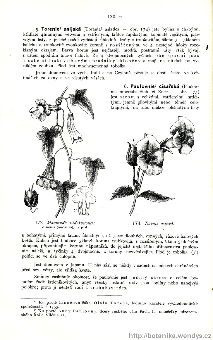 Názorná květena zemí koruny české, svazek 3, strana 130