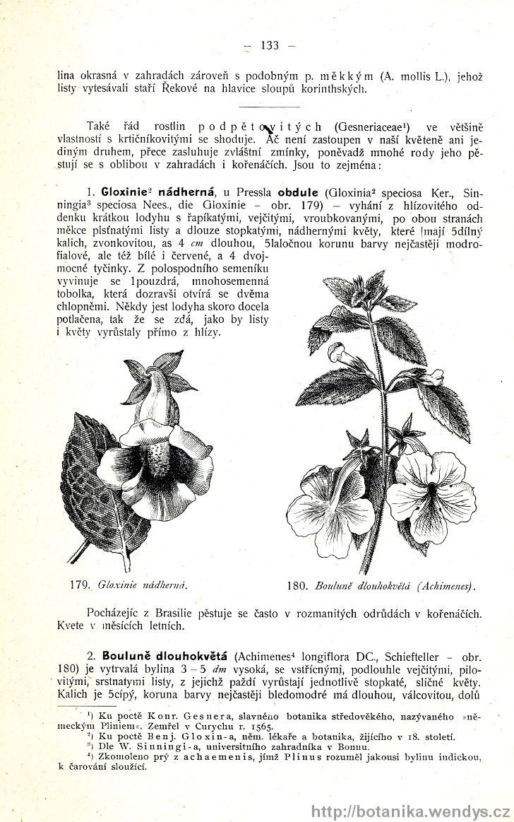 Názorná květena zemí koruny české, svazek 3, strana 133