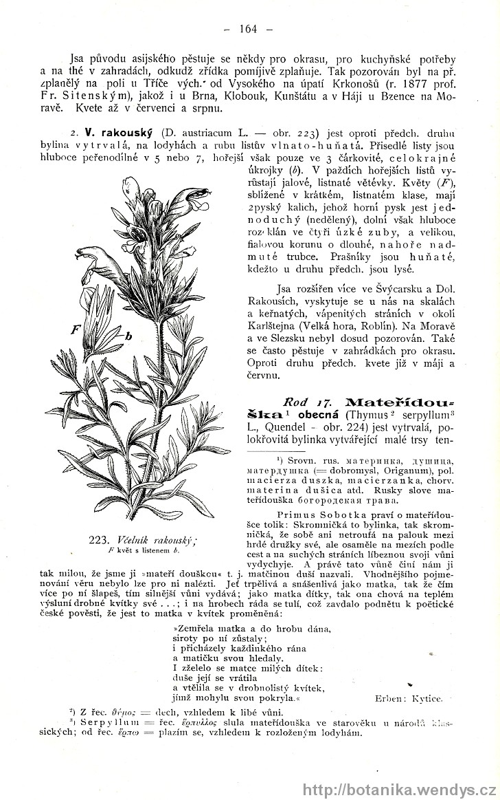 Názorná květena zemí koruny české, svazek 3, strana 164