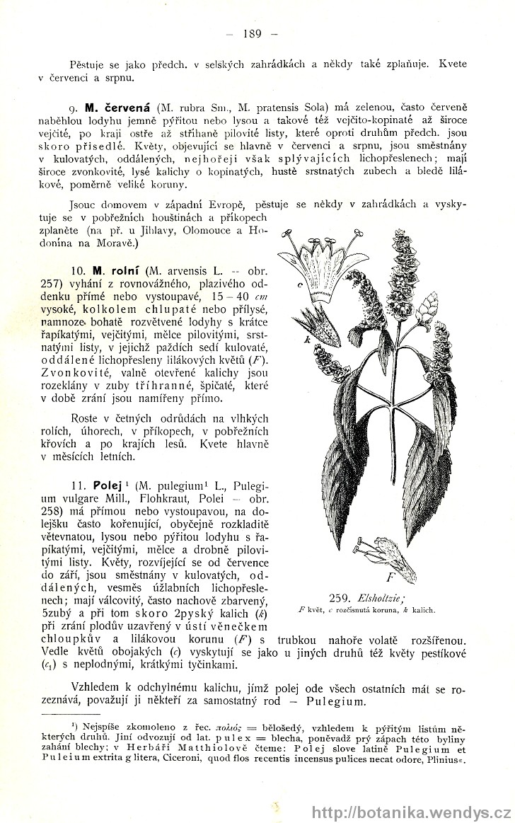 Názorná květena zemí koruny české, svazek 3, strana 189