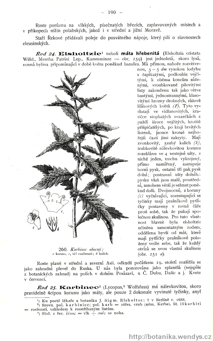 Názorná květena zemí koruny české, svazek 3, strana 190