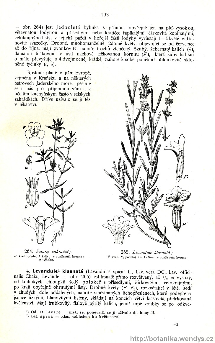 Názorná květena zemí koruny české, svazek 3, strana 193