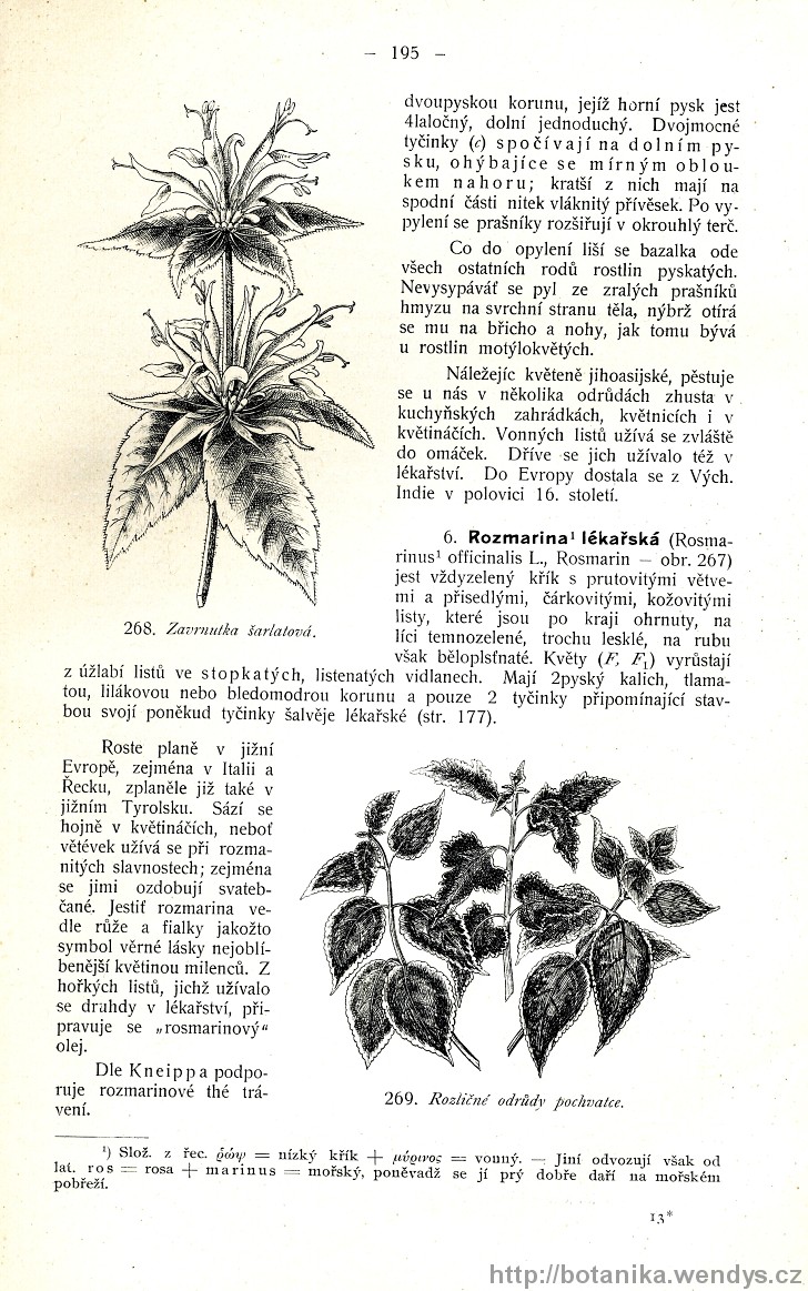 Názorná květena zemí koruny české, svazek 3, strana 195