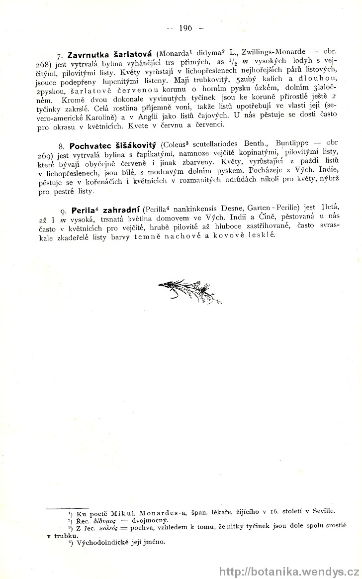 Názorná květena zemí koruny české, svazek 3, strana 196
