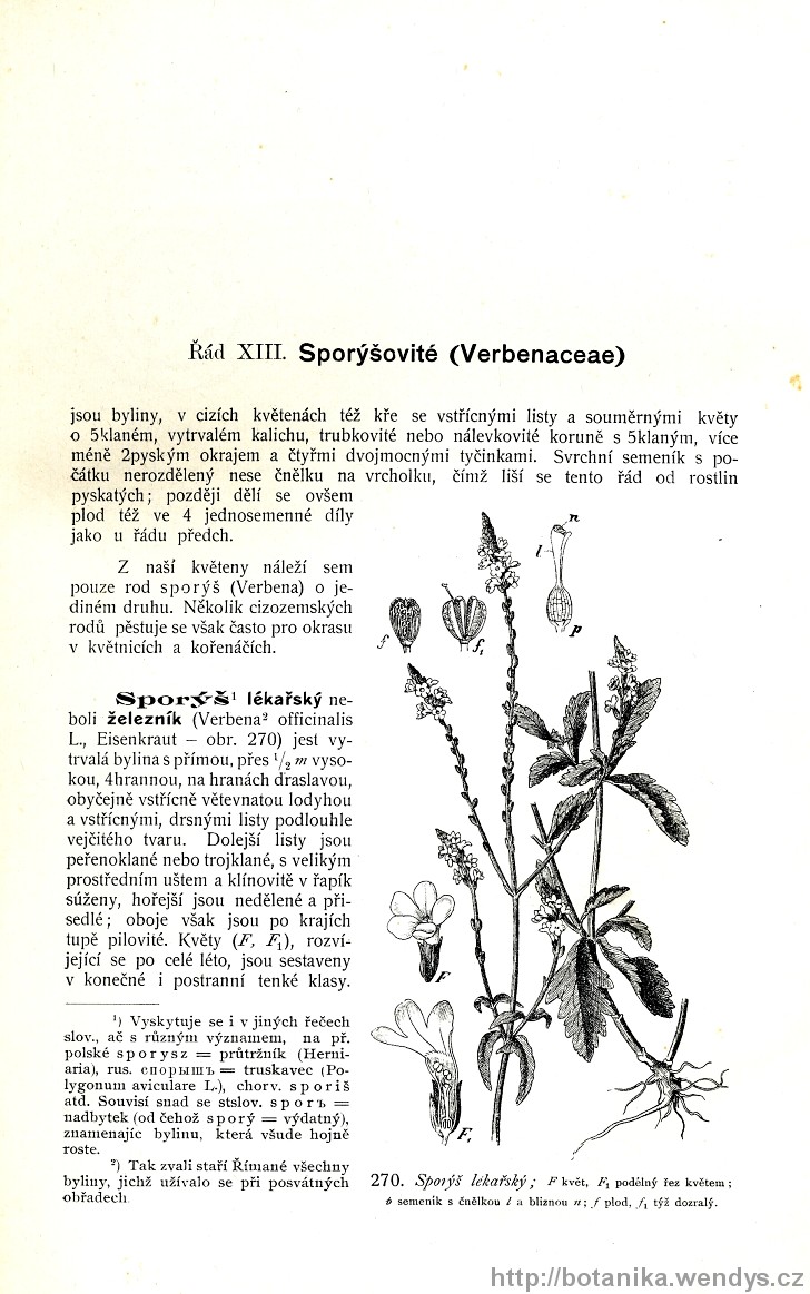 Názorná květena zemí koruny české, svazek 3, strana 197