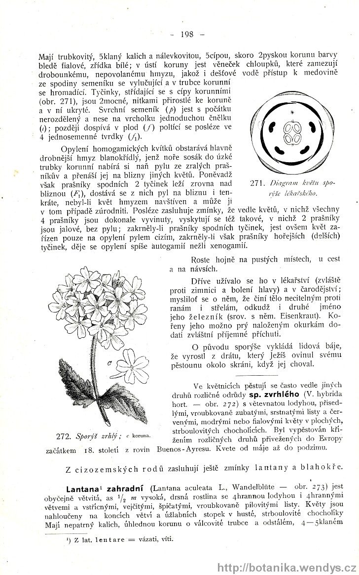 Názorná květena zemí koruny české, svazek 3, strana 198