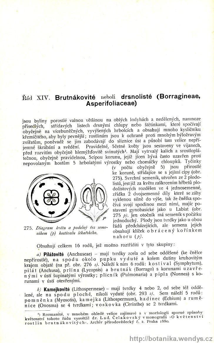Názorná květena zemí koruny české, svazek 3, strana 200