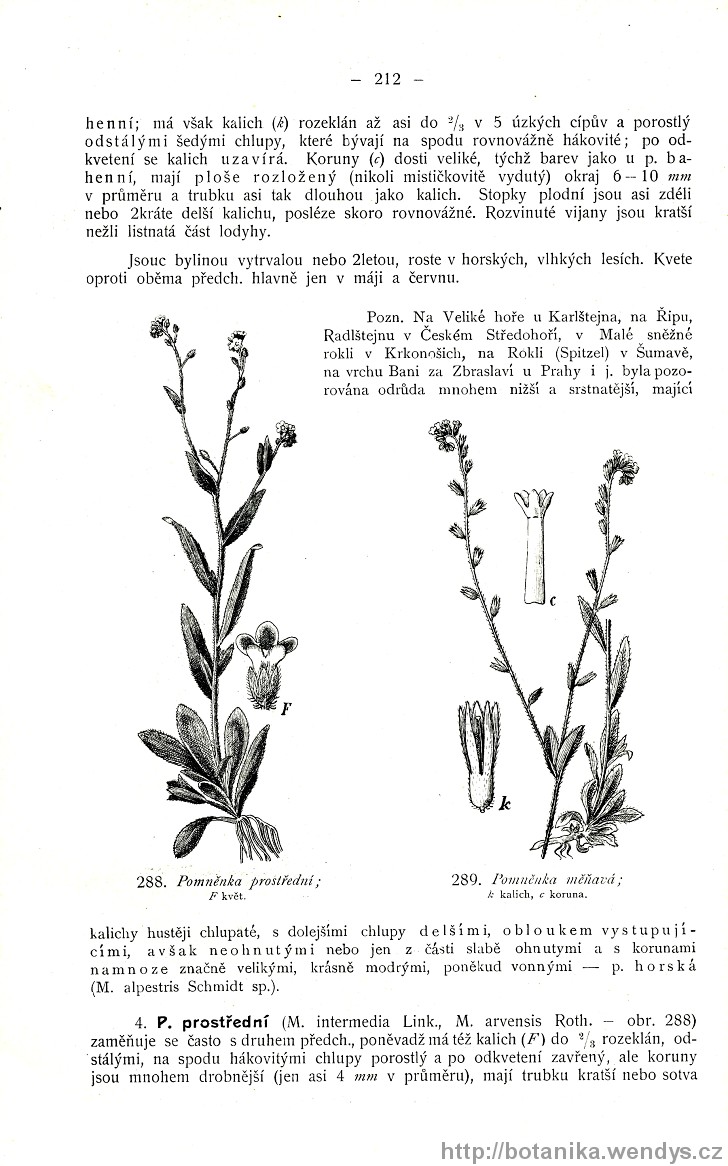 Názorná květena zemí koruny české, svazek 3, strana 212