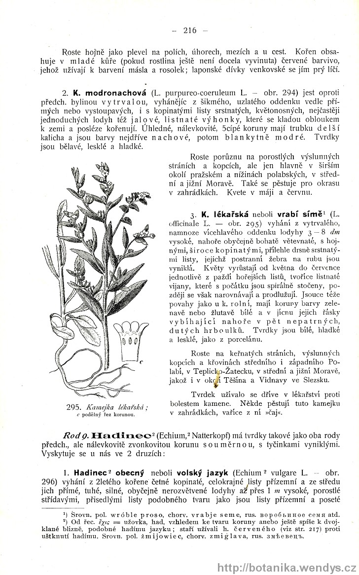 Názorná květena zemí koruny české, svazek 3, strana 216