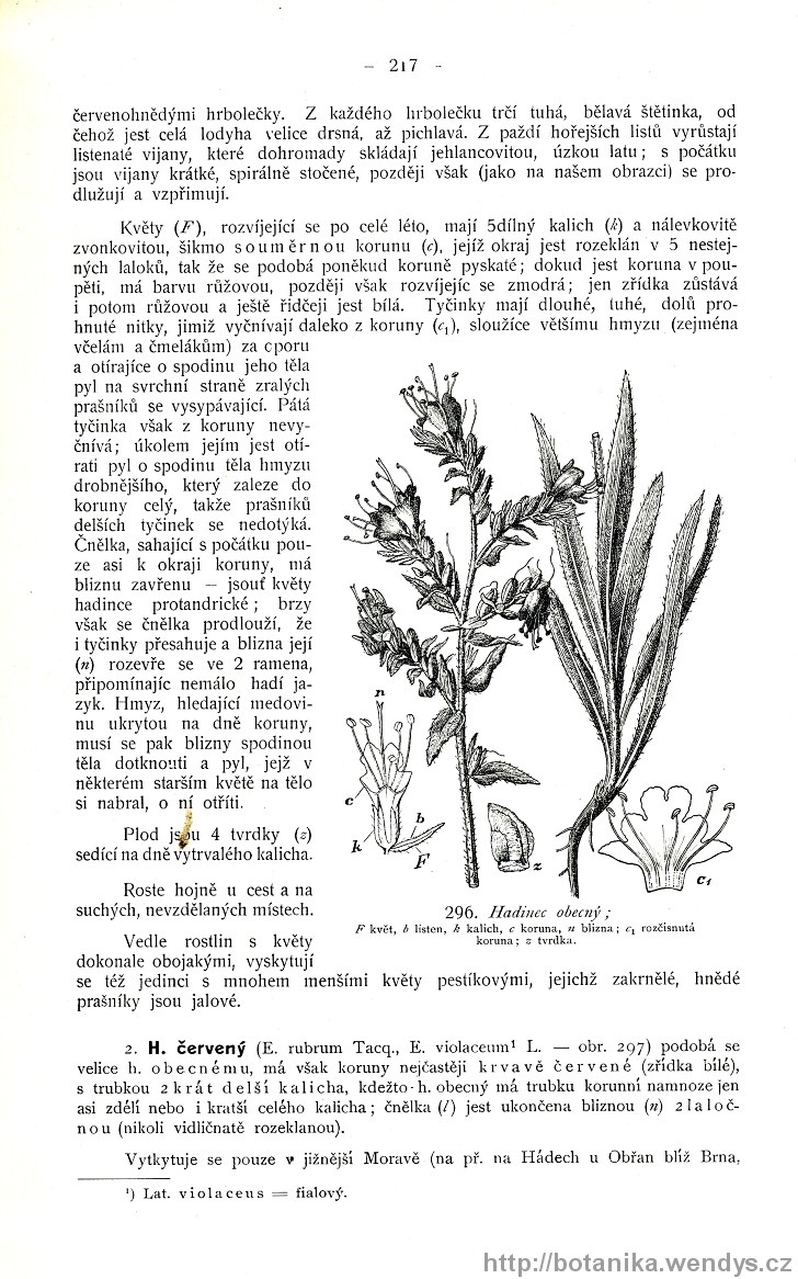 Názorná květena zemí koruny české, svazek 3, strana 217