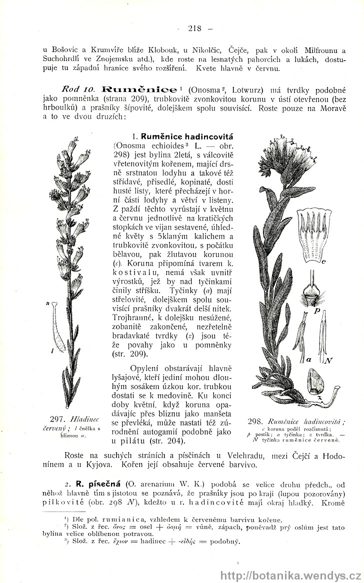 Názorná květena zemí koruny české, svazek 3, strana 218