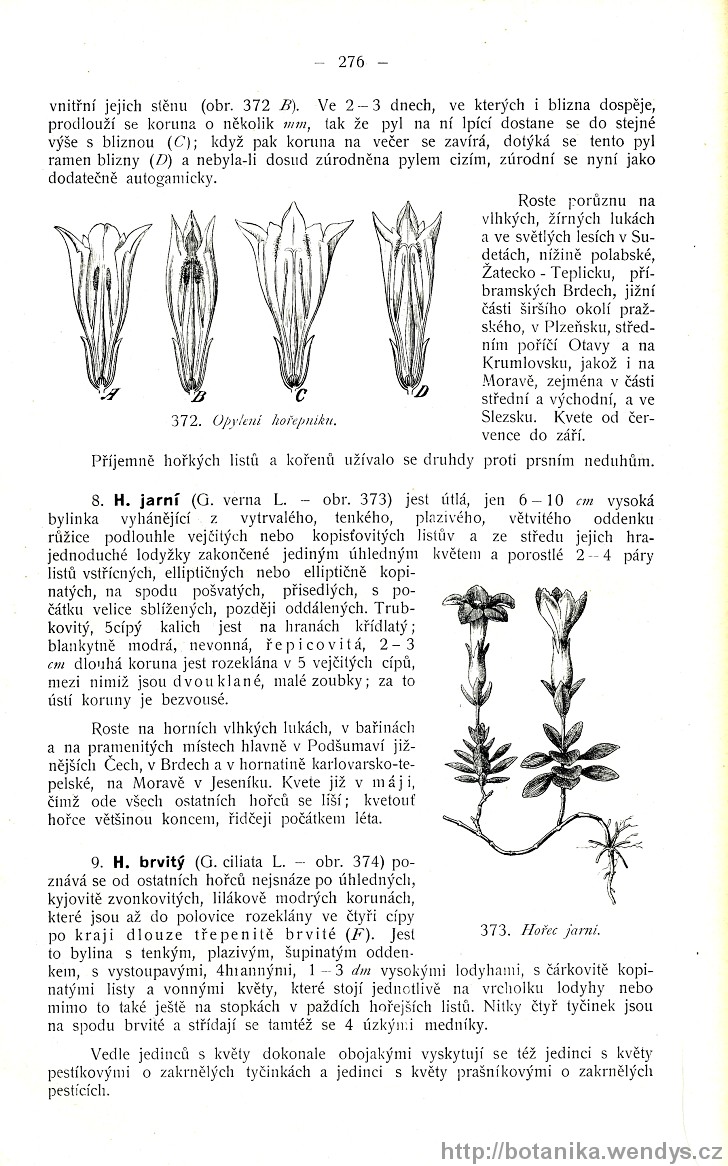Názorná květena zemí koruny české, svazek 3, strana 276