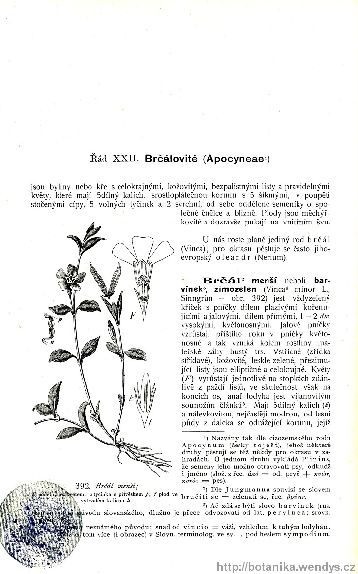 Názorná květena zemí koruny české, svazek 3, strana 290
