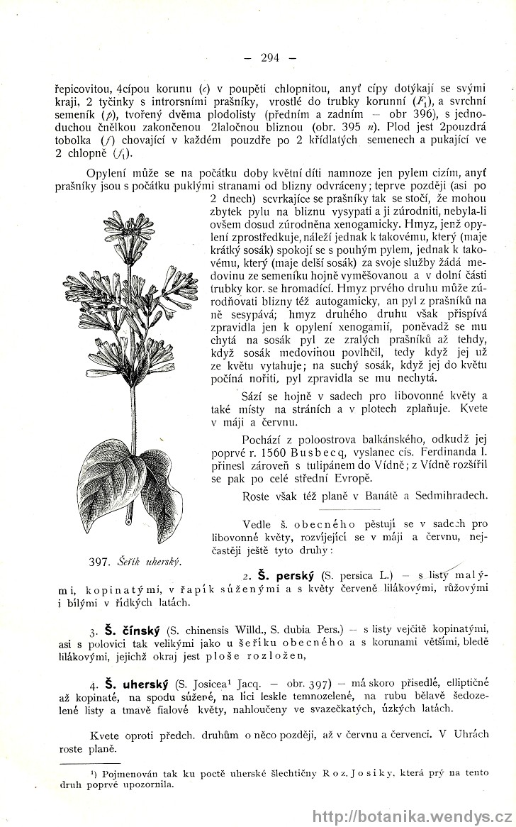 Názorná květena zemí koruny české, svazek 3, strana 294