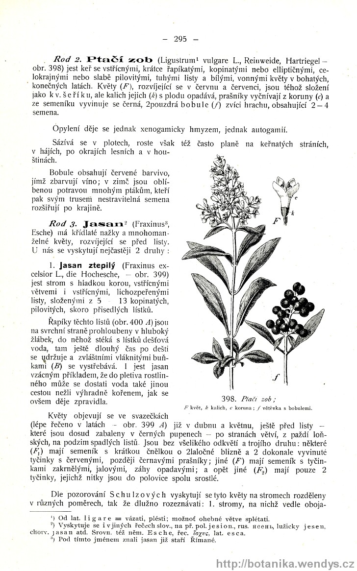 Názorná květena zemí koruny české, svazek 3, strana 295