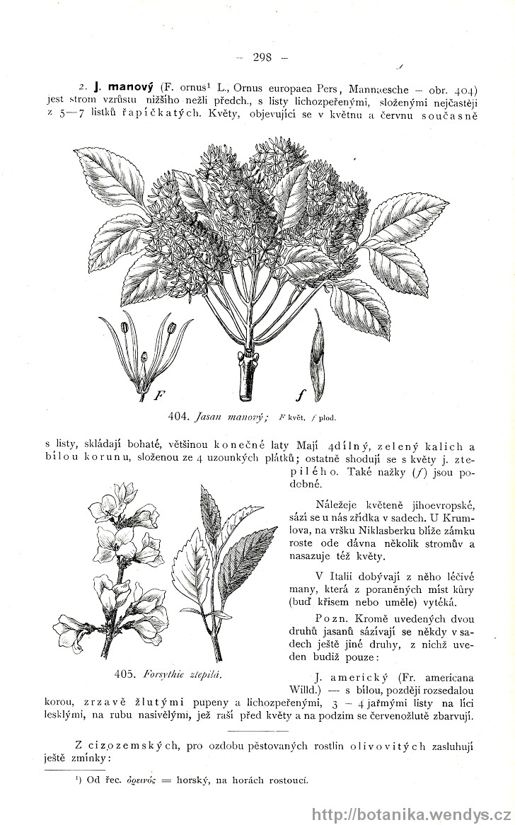 Názorná květena zemí koruny české, svazek 3, strana 298