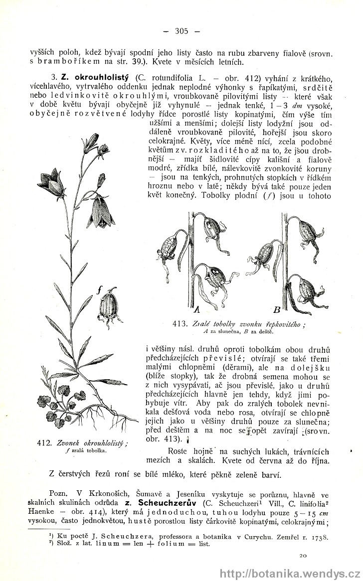 Názorná květena zemí koruny české, svazek 3, strana 305