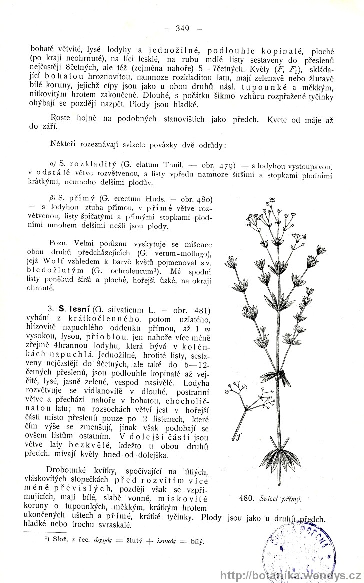 Názorná květena zemí koruny české, svazek 3, strana 349