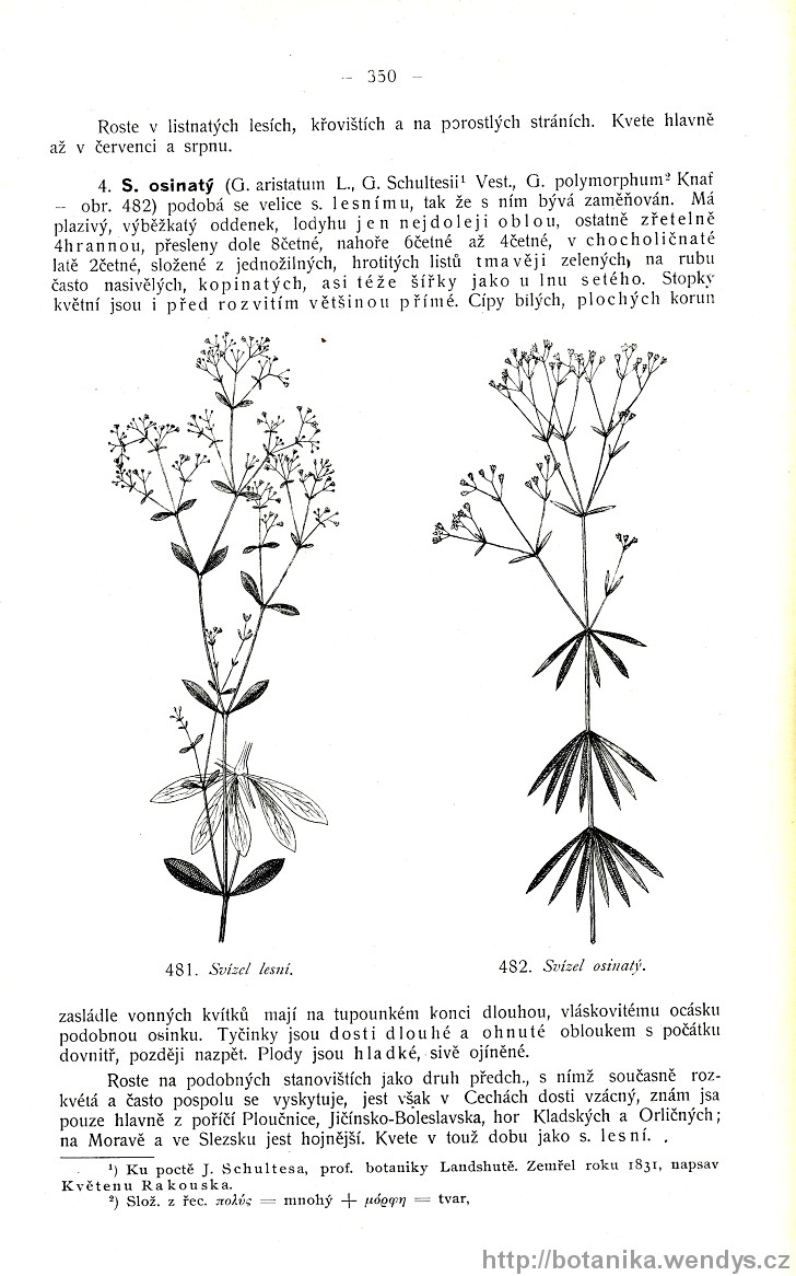 Názorná květena zemí koruny české, svazek 3, strana 350