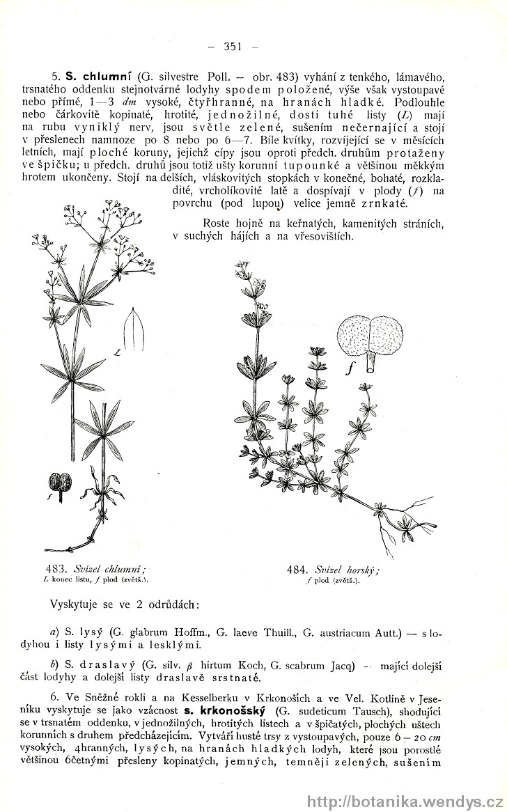 Názorná květena zemí koruny české, svazek 3, strana 351