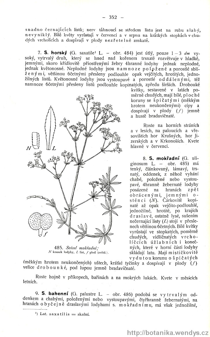 Názorná květena zemí koruny české, svazek 3, strana 352
