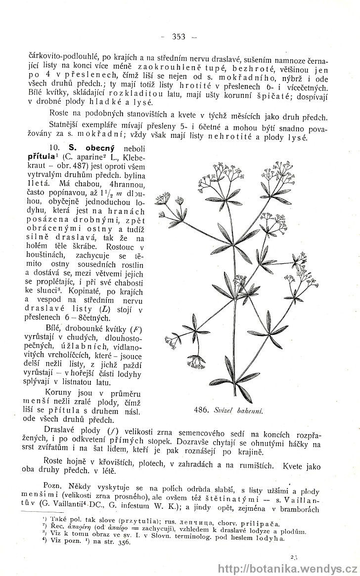 Názorná květena zemí koruny české, svazek 3, strana 353