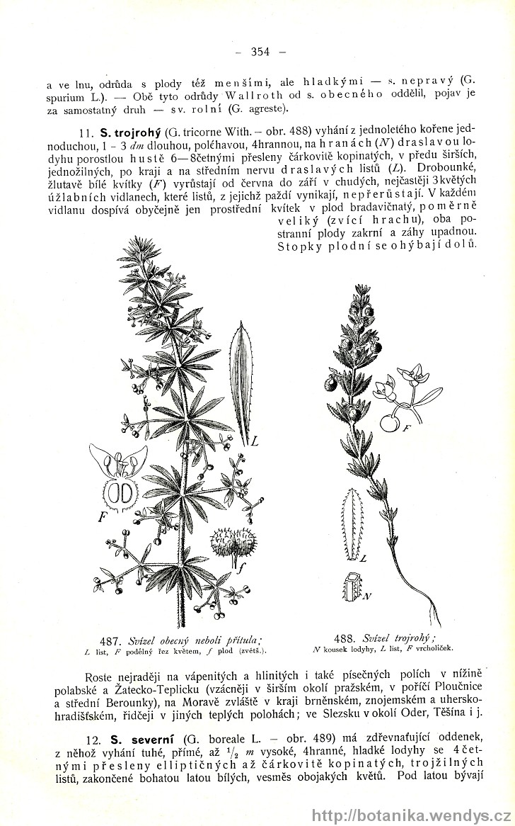 Názorná květena zemí koruny české, svazek 3, strana 354