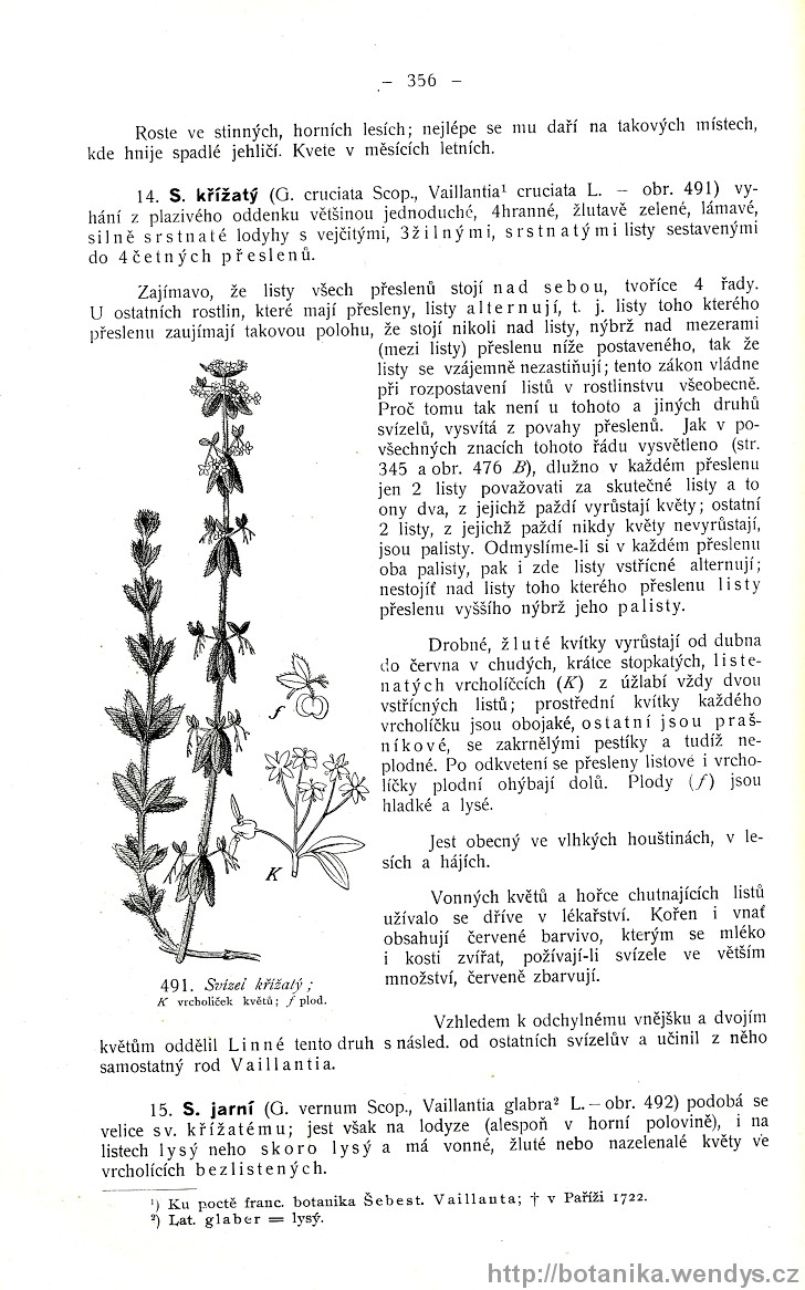 Názorná květena zemí koruny české, svazek 3, strana 356