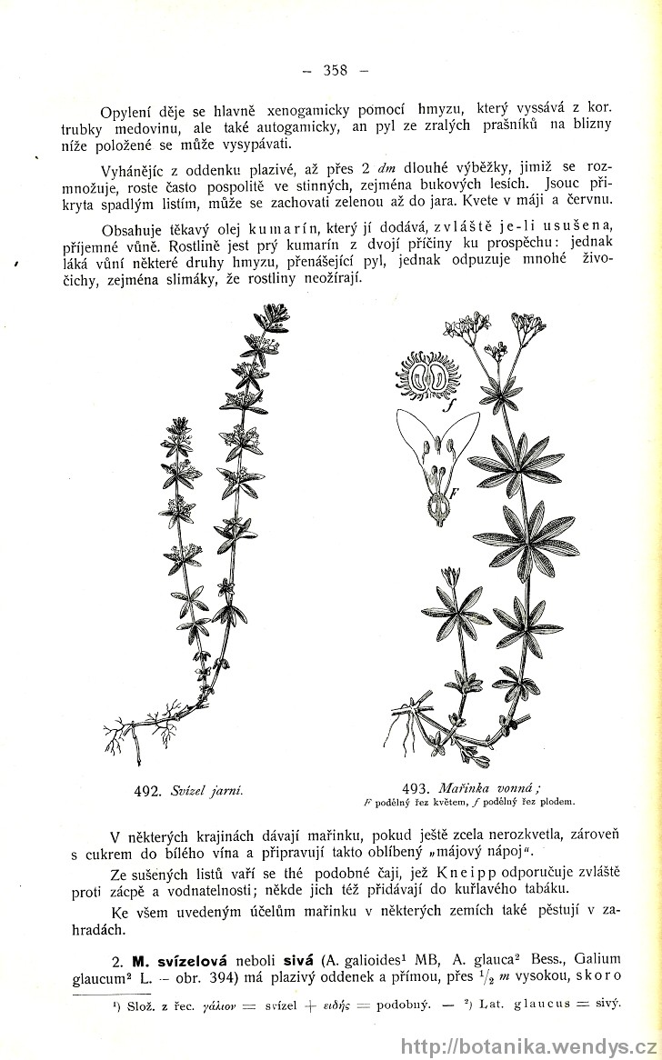 Názorná květena zemí koruny české, svazek 3, strana 358