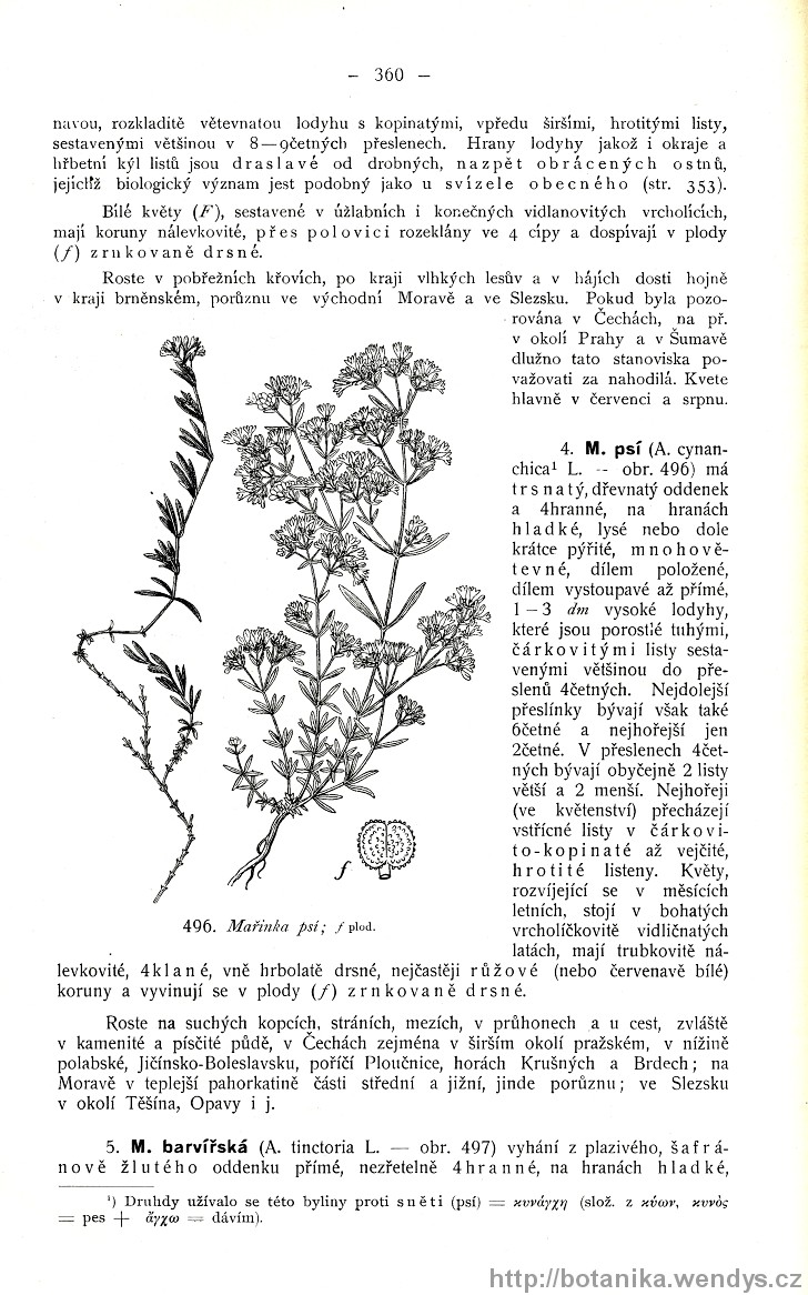 Názorná květena zemí koruny české, svazek 3, strana 360