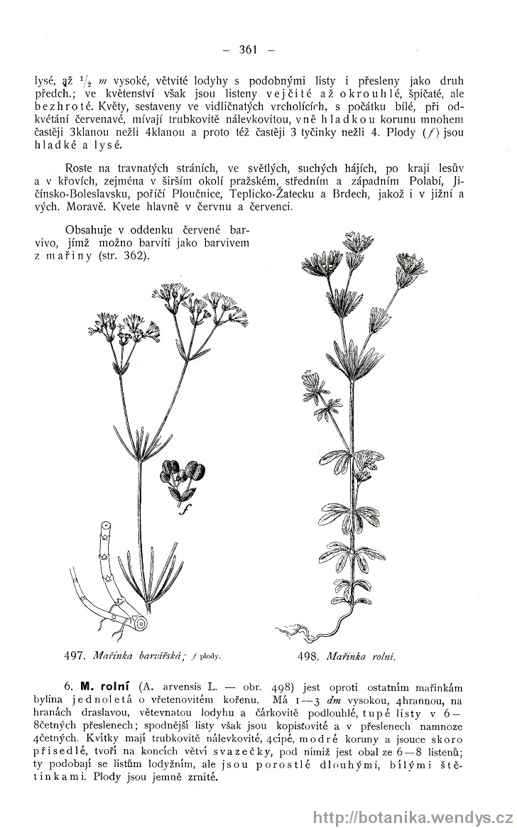 Názorná květena zemí koruny české, svazek 3, strana 361
