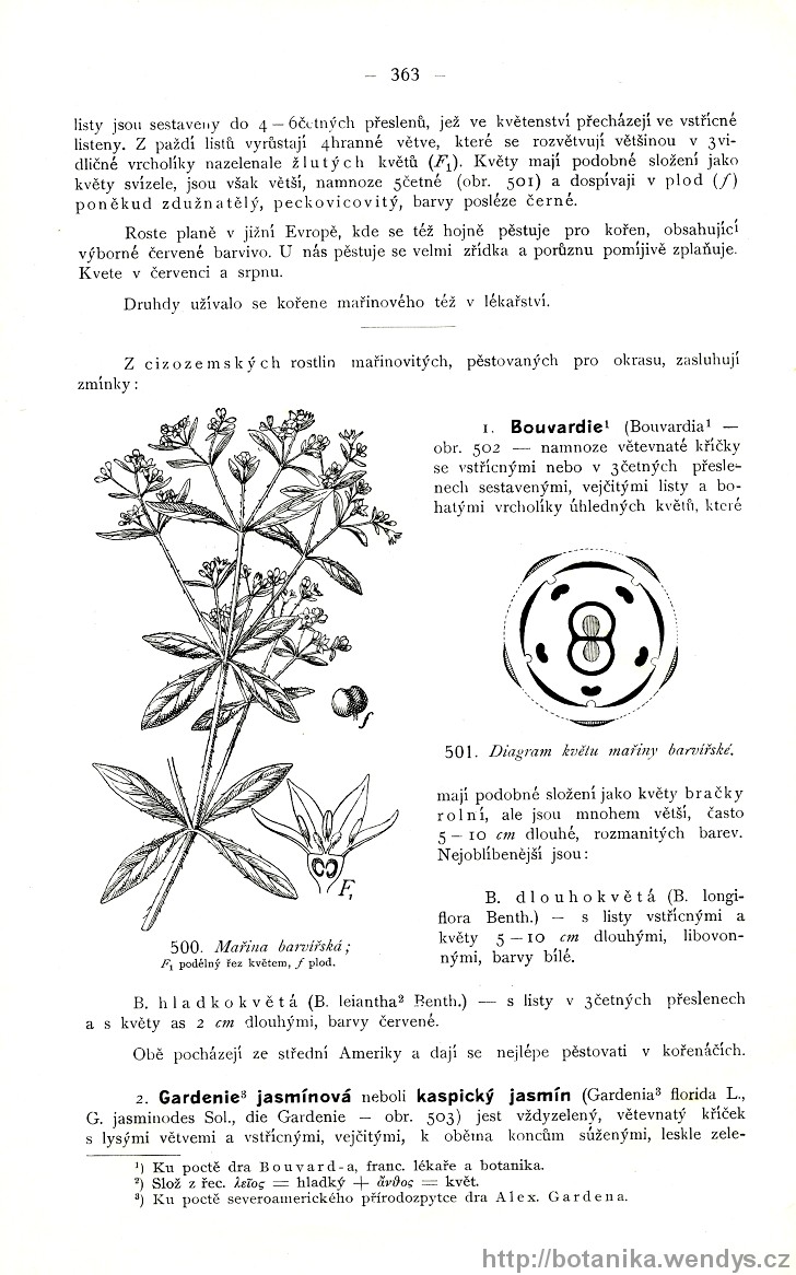 Názorná květena zemí koruny české, svazek 3, strana 363