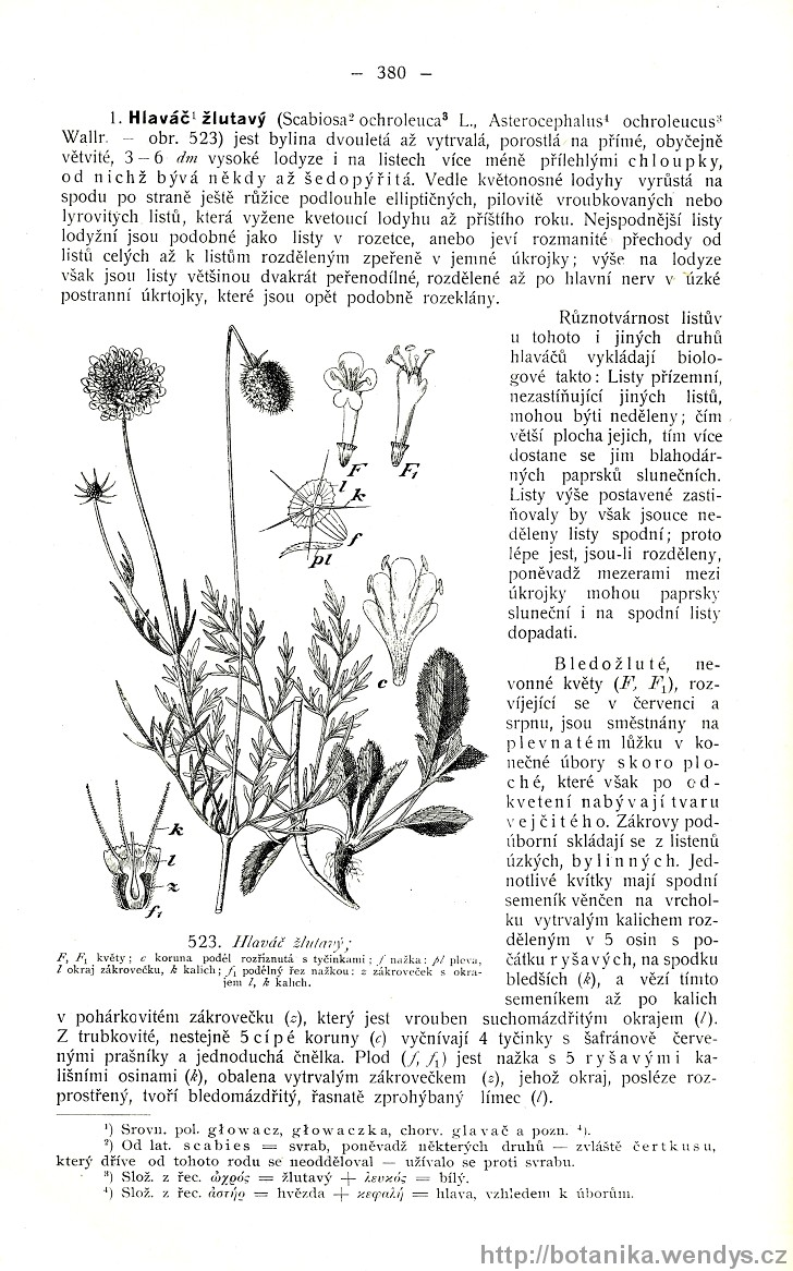 Názorná květena zemí koruny české, svazek 3, strana 380