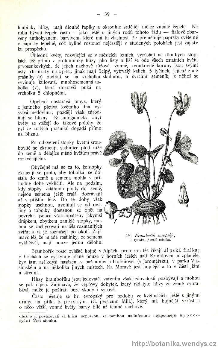 Názorná květena zemí koruny české, svazek 3, strana 39